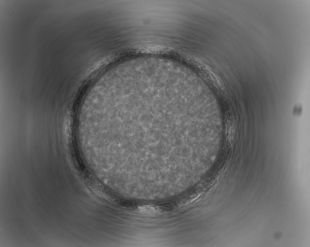 X0000116440591201001191533