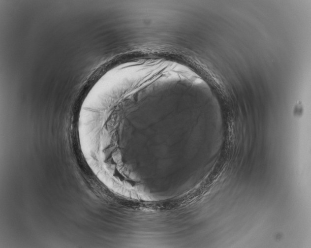 X0000116440592201001191533