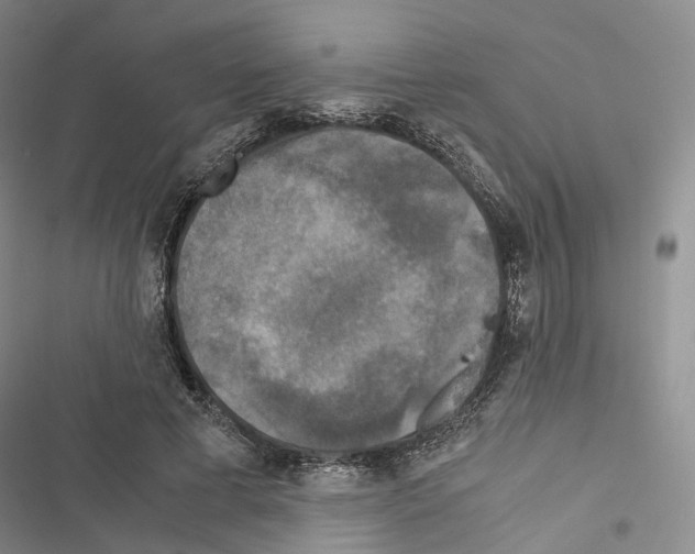 X0000116440593201001191533