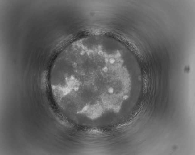 X0000116440594201001191533