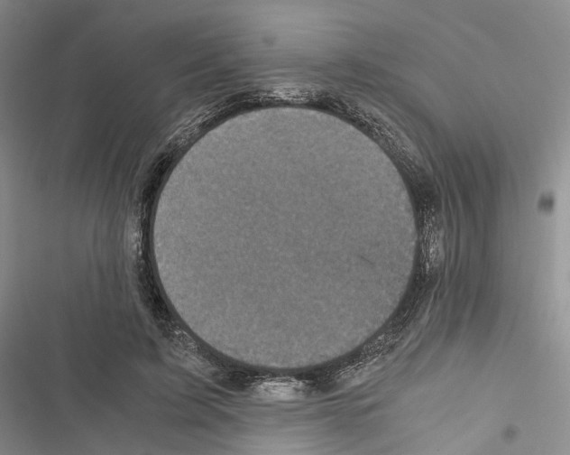 X0000116440595201001191533