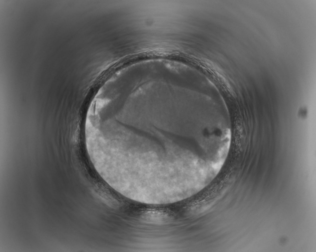 X0000116440596201001191533