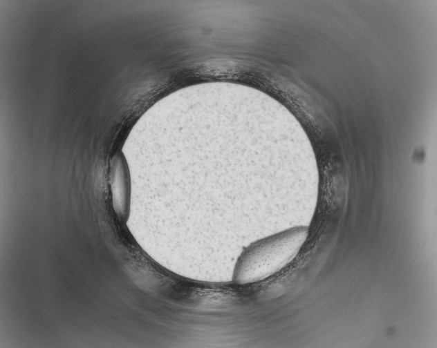 X0000116440597201001191533