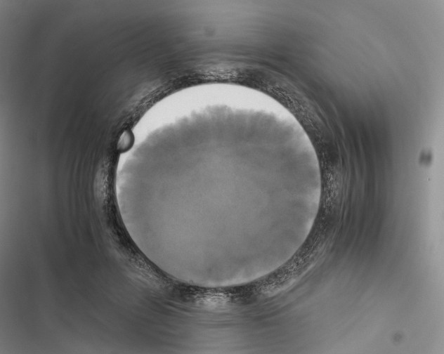 X0000116440600201001191533