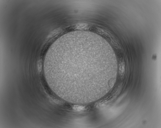 X0000116440602201001191533