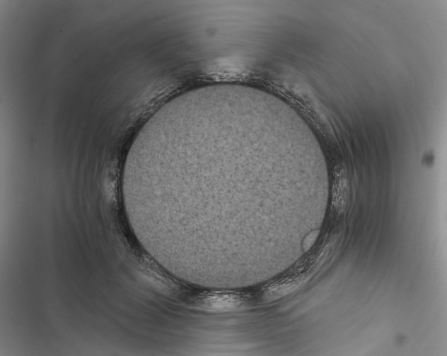 X0000116440604201001191533