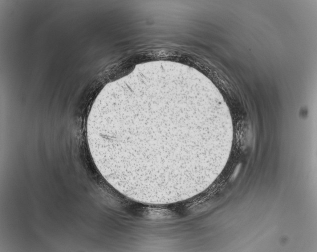 X0000116440605201001191533