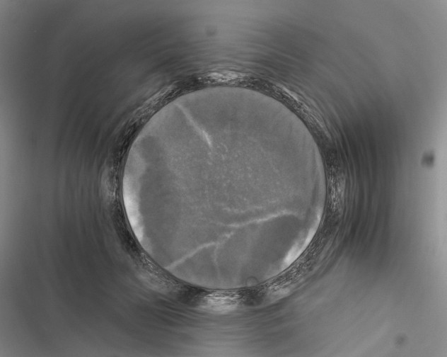 X0000116440606201001191533