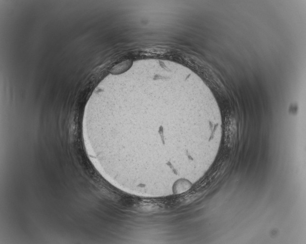 X0000116440608201001191533