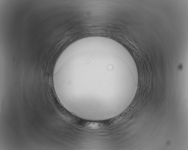 X0000116440611201001191533