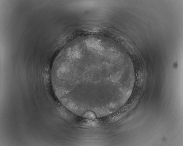 X0000116440612201001191533