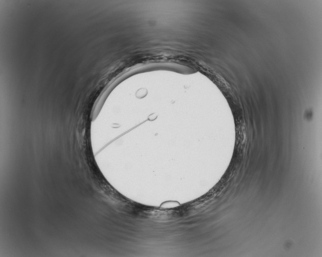 X0000116440615201001191533