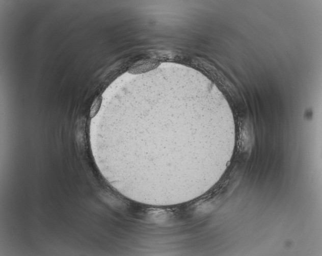 X0000116440616201001191533