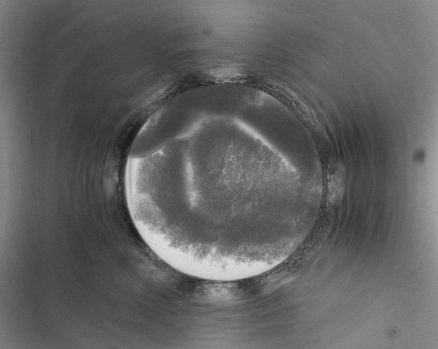 X0000116440618201001191533