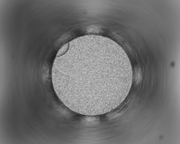 X0000116440619201001191533