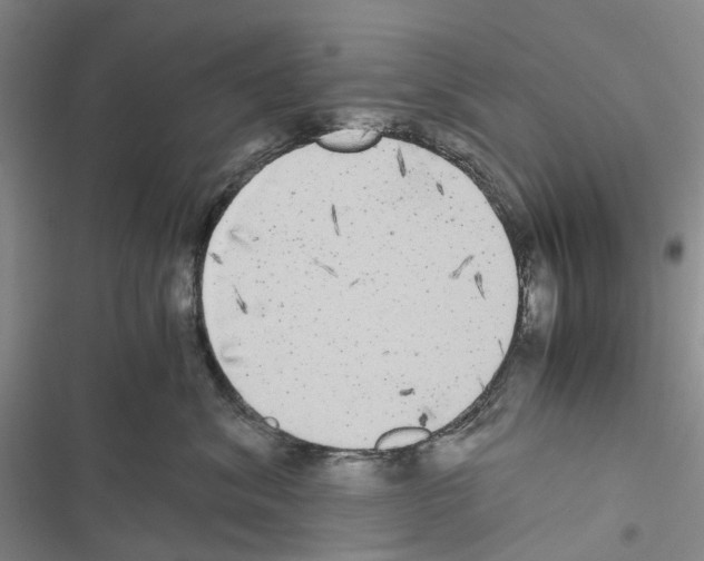 X0000116440620201001191533