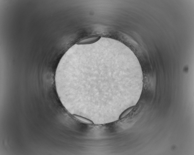 X0000116440621201001191533