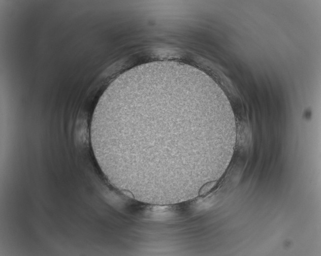 X0000116440622201001191533