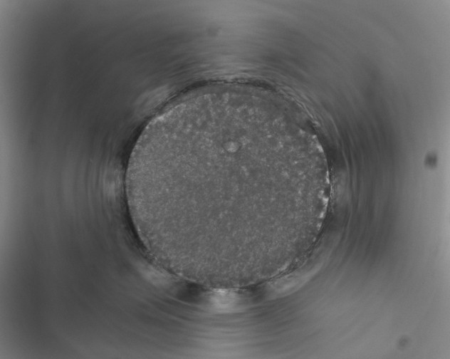 X0000116440623201001191533