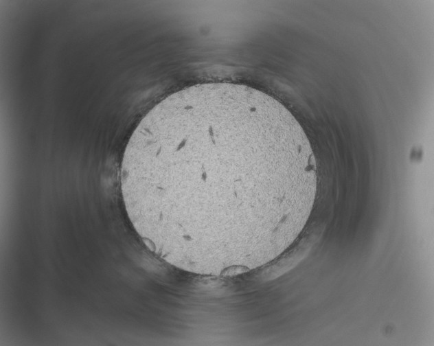 X0000116440624201001191533