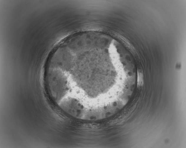 X0000116440627201001191532