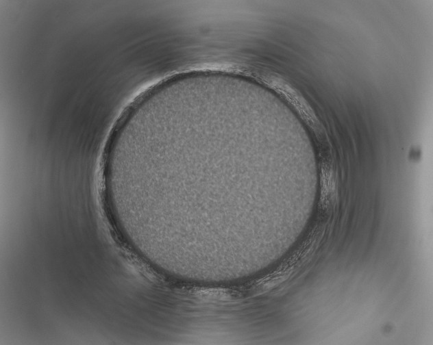 X0000116440628201001191532