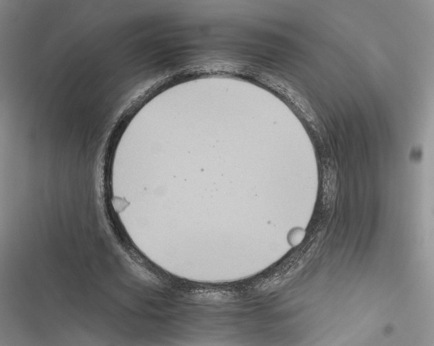 X0000116440629201001191532