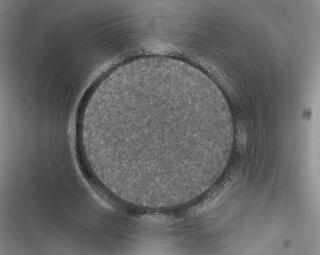 X0000116440630201001191532