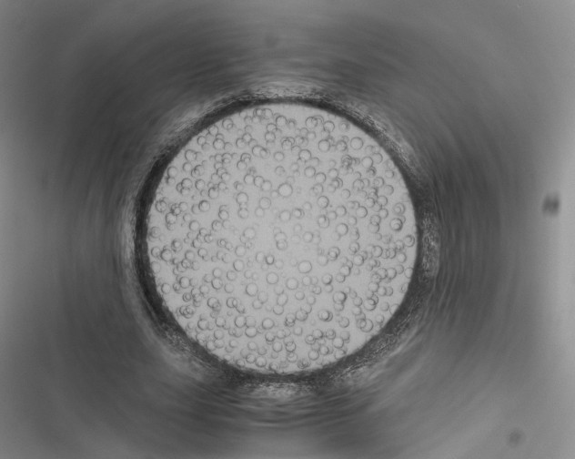 X0000116440631201001191532