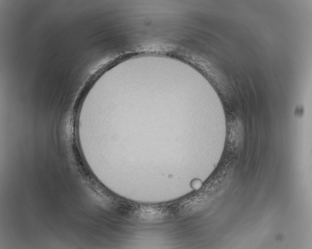 X0000116440632201001191532