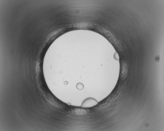 X0000116440636201001191532