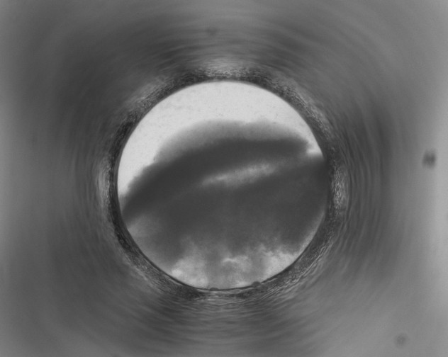 X0000116440637201001191532