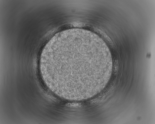 X0000116440639201001191532