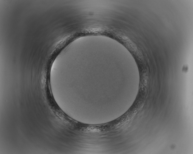 X0000116440640201001191532