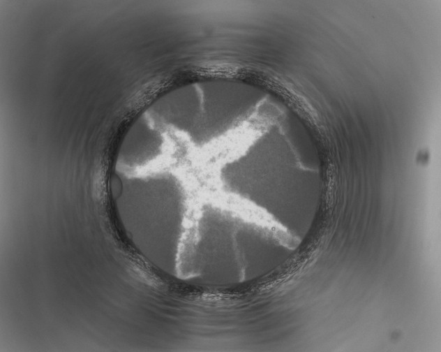 X0000116440641201001191532