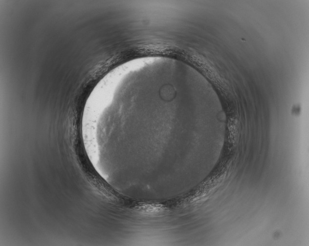 X0000116440642201001191532