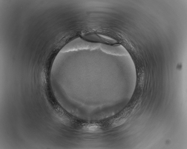 X0000116440643201001191532