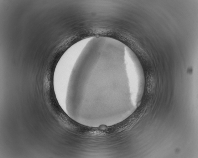 X0000116440644201001191533