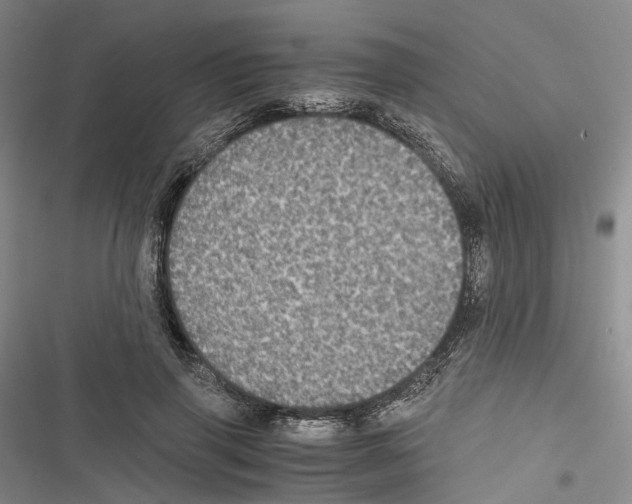 X0000116440645201001191533