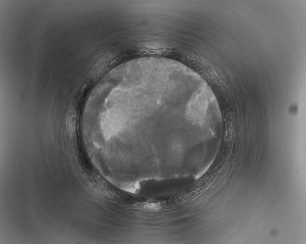 X0000116440647201001191533