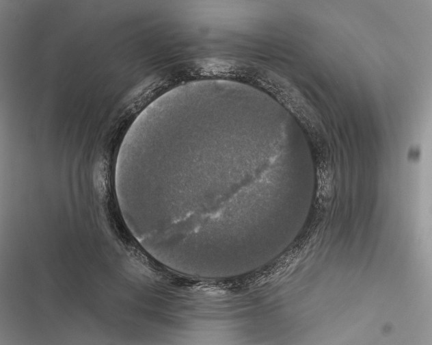 X0000116440648201001191533