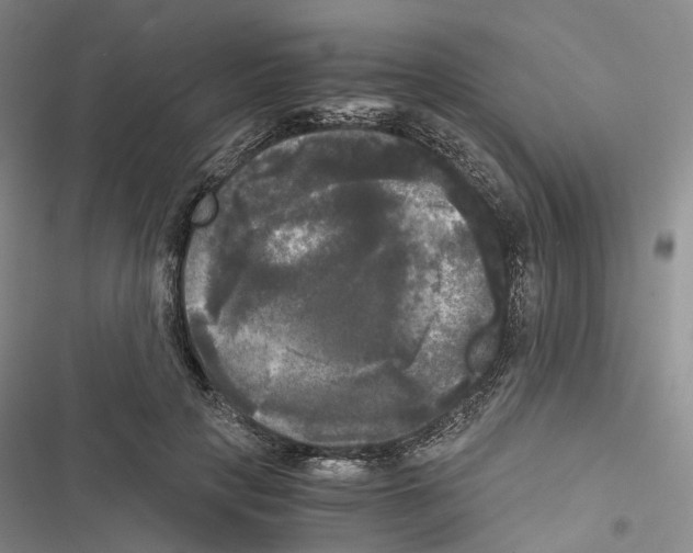 X0000116440649201001191533