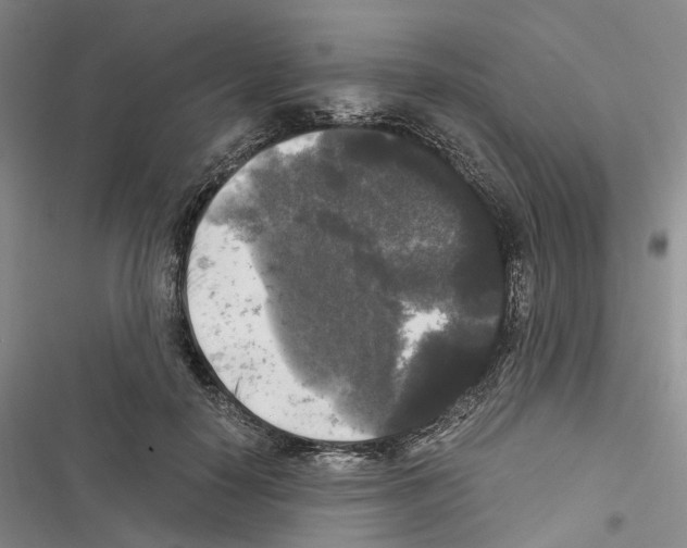 X0000116440650201001191533