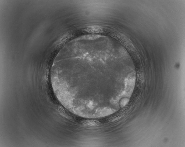 X0000116440652201001191533