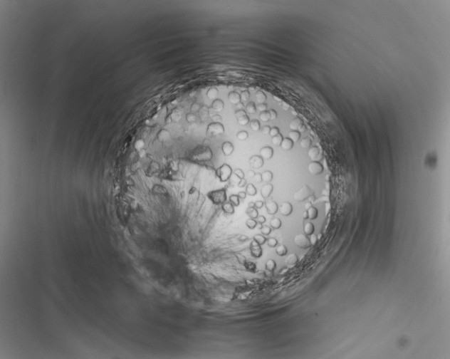 X0000116440653201001191533