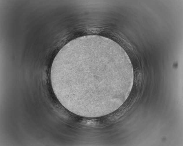 X0000116440655201001191533