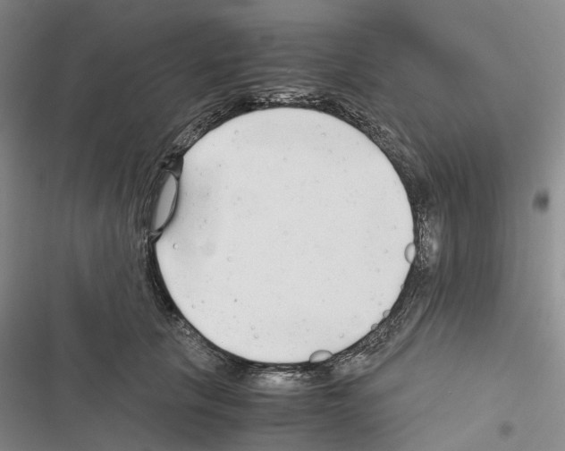 X0000116440657201001191533