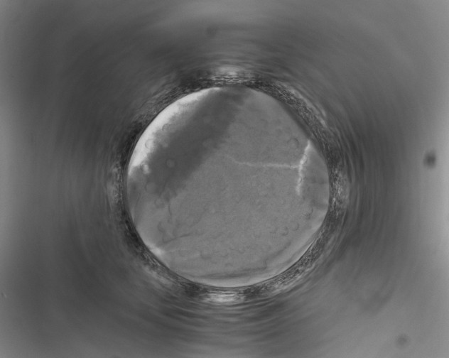 X0000116440659201001191533