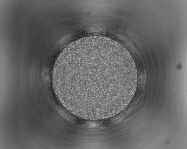 X0000116440662201001191533