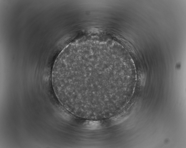 X0000116440665201001191533